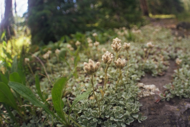 Baker Gulch Trail 18.jpg